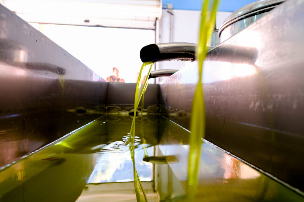 Reuters: Οι Έλληνες ελαιοπαραγωγοί στρέφονται σε νέες αγορές – Εμπόριο υπό τον φόβο των δασμών του Τραμπ