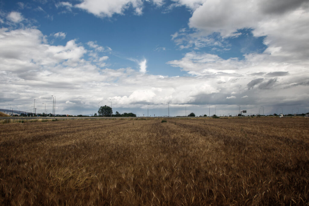 ΟΠΕΚΕΠΕ: Μέχρι τις 31 Αυγούστου ανοικτό το σύστημα υποβολής ΕΑΕ 2025