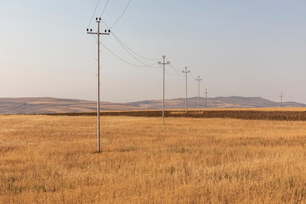 Electricity poles traverse a golden field in Shamakhi, Azerbaijan under a clear sky.